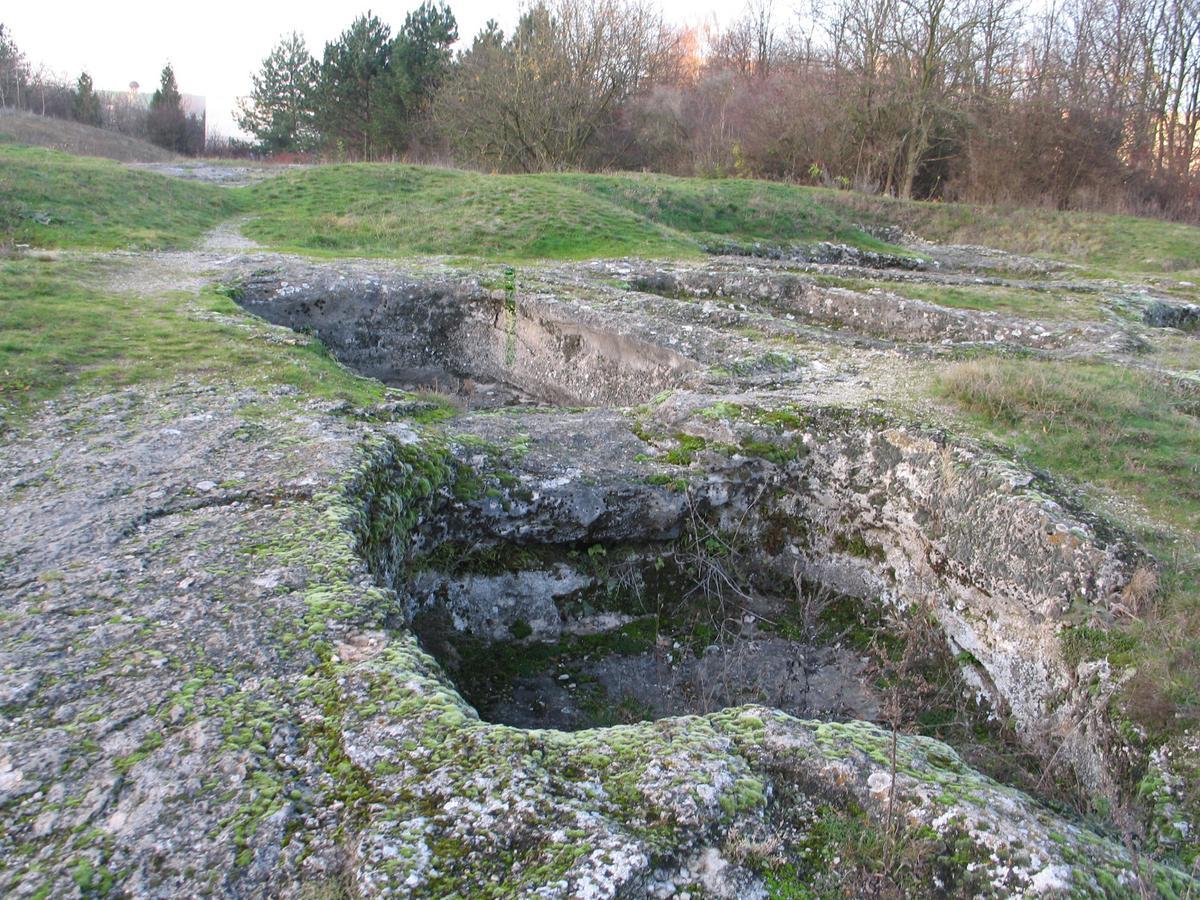 Eko Penzion Leo Gyűgy Kültér fotó